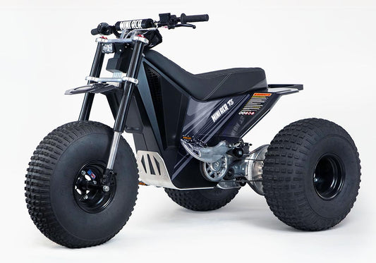 Mini RCR T3 Electric 3-Wheeler